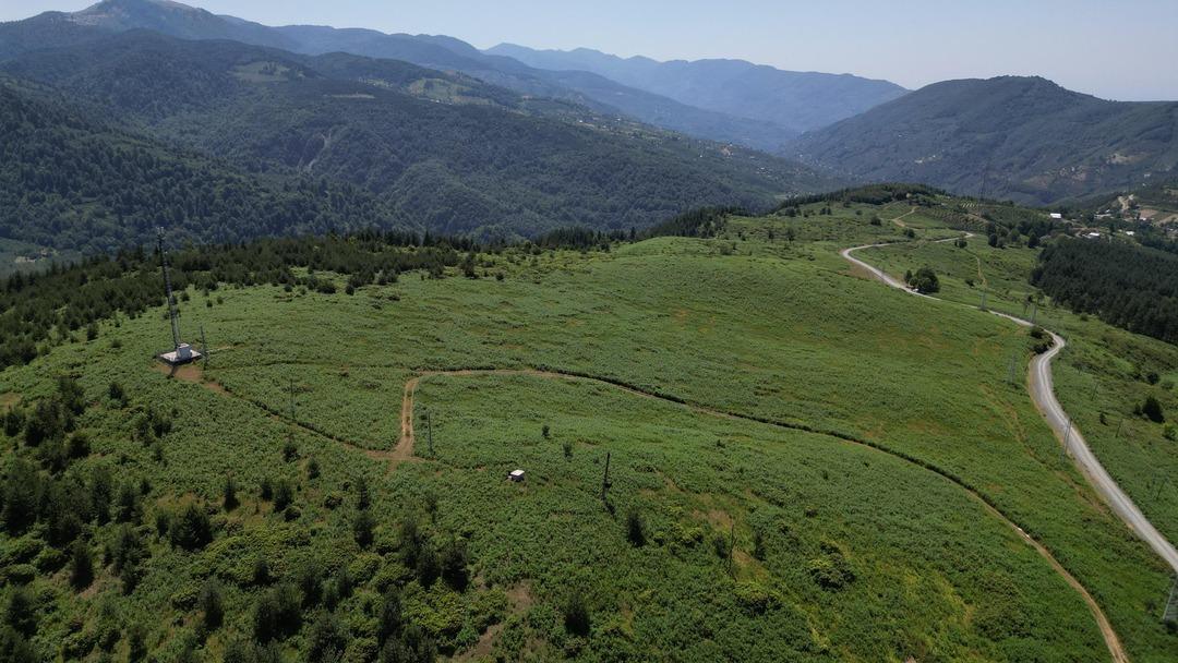 Fenerbahçe den sonra Galatasaray da harekete geçti! Belediye Başkanı bizzat duyurdu... 2
