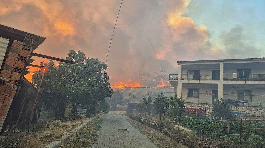 İzmir yine yanıyor! Ormanlık alanda alevler yükseldi: Faili tespit edildi