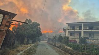 İzmir yine yanıyor! Ormanlık alanda alevler yükseldi: Faili tespit edildi