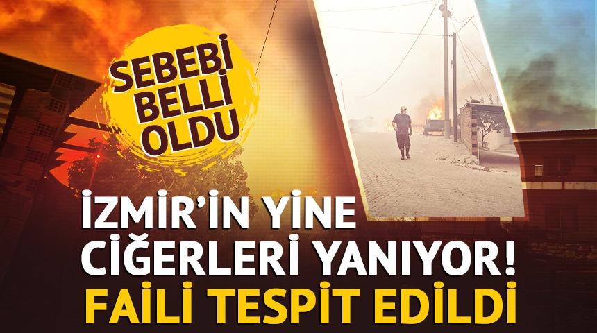 İzmir yine yanıyor! Alevler yükseldi