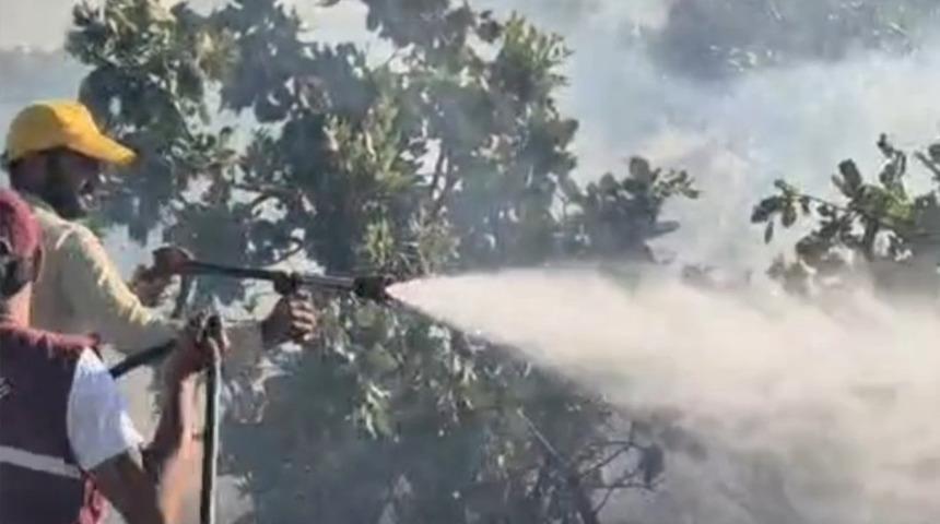 Siirt'te çıkan örtü yangını söndürüldü