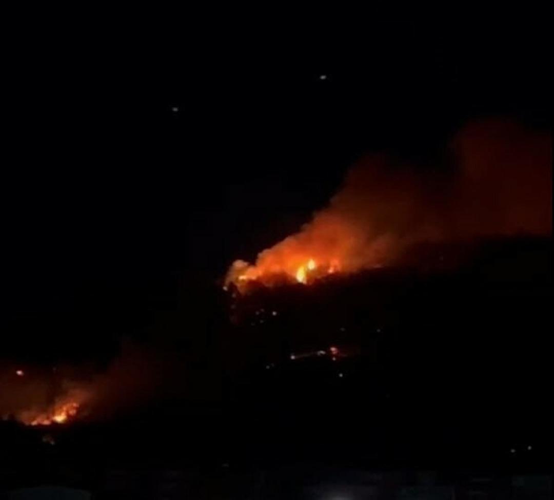 İzmir yine yanıyor! Ormanlık alanda alevler yükseldi: Faili tespit edildi 4