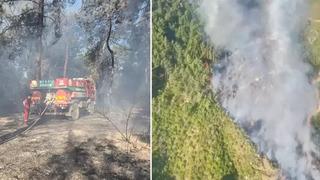Antalya'nın iki ilçesinde orman yangını! Ekipler müdahale ediyor