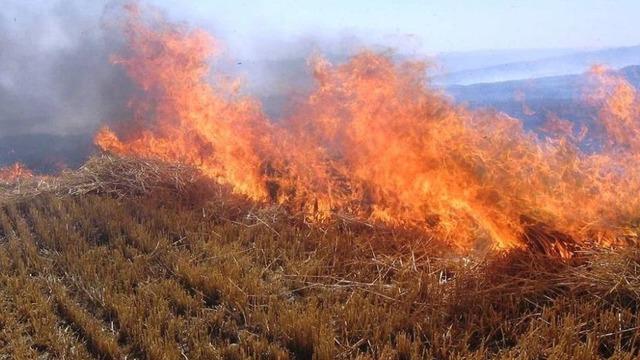 Meteorolojiden orman yangını uyarısı
