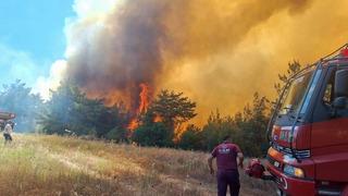 Taraklı'da çıkan orman yangını helikopterden görüntülendi