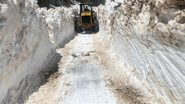 Türkiye yanarken Rize'de şaşırtan görüntü: Kar kalınlığı 5 metreyi aştı!