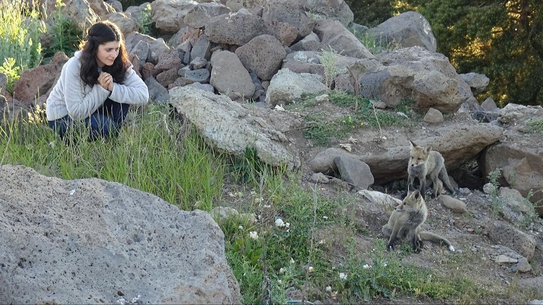 Yer: Kars! Görenler hayran kaldı! Korkmayıp elleriyle beslediler 1