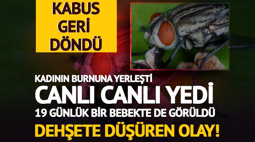 İnsan eti yiyen parazit kabusu geri döndü!