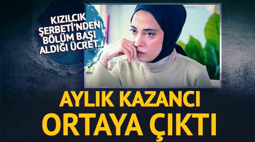 Aylık kazancı ortaya çıktı! Bölüm başı bakın ne kadar alıyormuş 