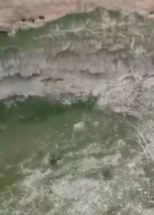 Ziyaretçi akınına uğruyorlardı! Bakın şimdi ne haldeler...