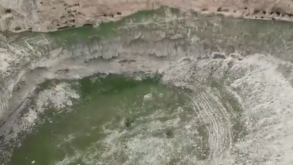 Ziyaretçi akınına uğruyorlardı! Bakın şimdi ne haldeler...