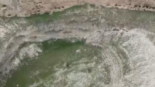 Ziyaretçi akınına uğruyorlardı! Bakın şimdi ne haldeler...