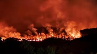Sakarya'daki yangın Bilecik'e kadar ulaştı! Yerleşim bölgesini tehdit ediyor! Yüzlerce kişi tahliye edildi