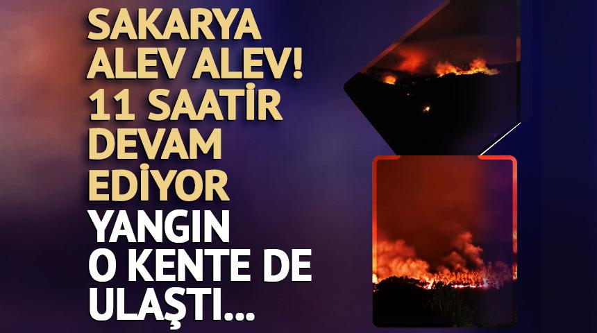 Sakarya'da orman yangını! Tahliye süreci başladı
