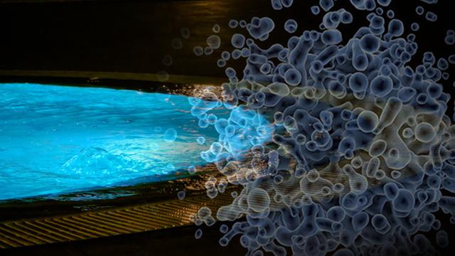 Ölümcül bakteri tehlikesi: Akarsu ve havuz sularına dikkat! Uzmanlar uyarıyor: “HPV bulaşma riski ve enfeksiyon çok yüksek”