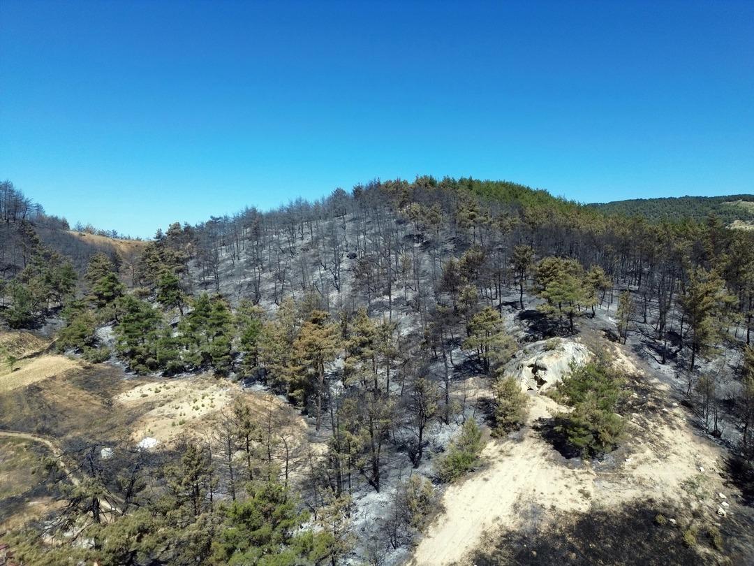 Sakarya daki yangın Bilecik e sıçradı: 7 köy yeri boşaltıldı! Yüzlerce personel müdahale ediyor 3