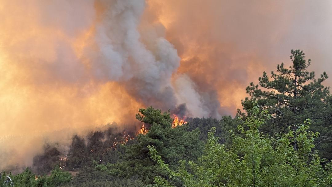 Sakarya daki yangın Bilecik e sıçradı: 7 köy yeri boşaltıldı! Yüzlerce personel müdahale ediyor 6