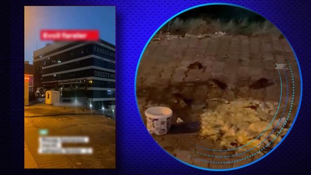 Ruhsatı iptal edilen hastaneyle ilgili şoke eden görüntü! Fareler bastı
