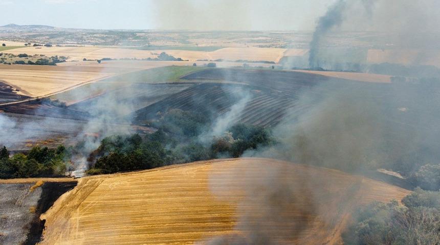 Edirne’de tarlada çıkan yangın söndürüldü!