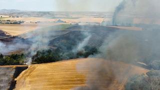 Edirne’de tarlada çıkan yangın söndürüldü!