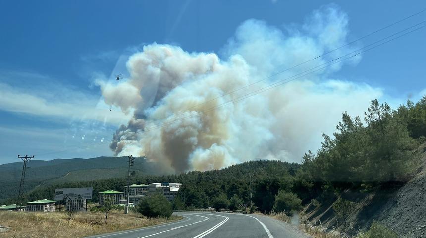 Sakarya'da çıkıp Bilecik'e sıçrayan orman yangını 2'nci gününde