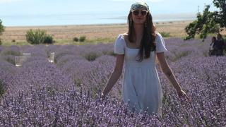 Burdur'da Lavanta Hasat ve Sanat Günleri'nde mor bahçelerde hasat başladı