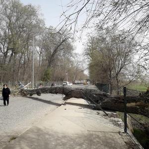 Meteorolojiden Marmara Bölgesi için 'kuvvetli rüzgar' uyarısı