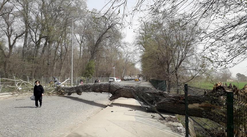 Meteorolojiden Marmara Bölgesi için 'kuvvetli rüzgar' uyarısı