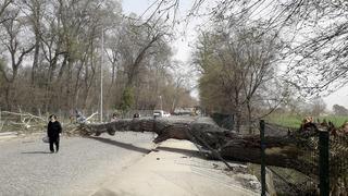 Meteorolojiden Marmara Bölgesi için 'kuvvetli rüzgar' uyarısı