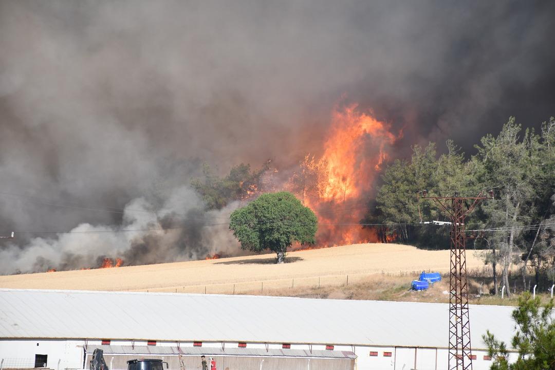 Son 2 g&uuml;nde 150 yangın! Bakan Yumaklı dan  orman yangınları  a&ccedil;ıklaması: "Sakarya-Bilecik te 16 yerleşim yeri tahliye edildi" 2