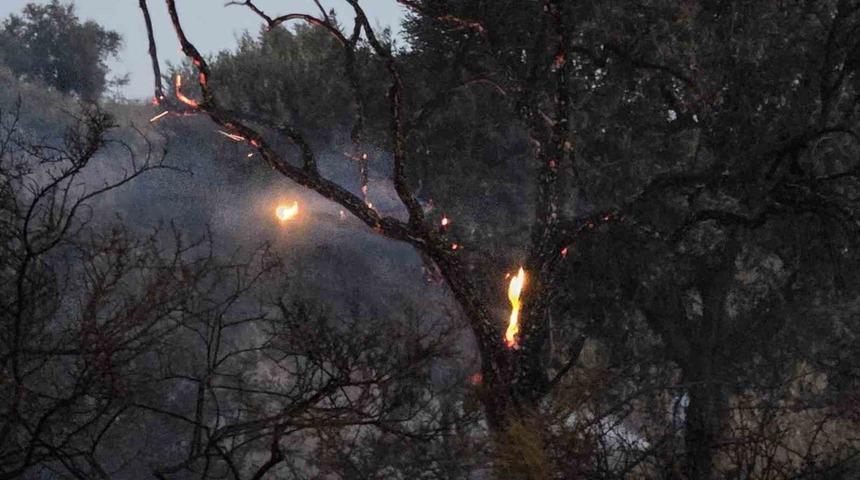 Düğün konvoyundan atılan meşale yangın çıkardı