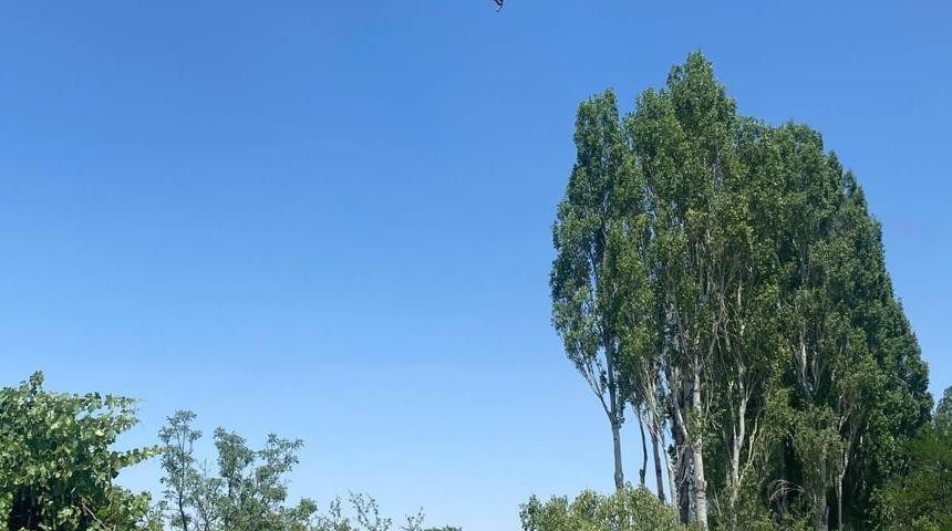 Ankara'da jandarmadan dron destekli yangın devriyesi