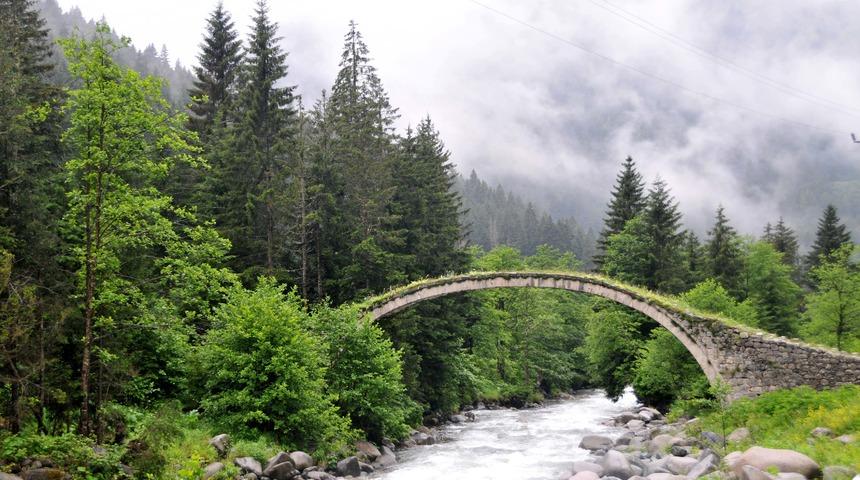 Prof. Dr. Mikdat Kadıoğlu: 'Ekolojik sistem iklim krizine ayak uyduramıyor'
