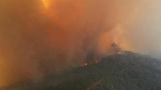 Bakan Tunç duyurdu! Orman yangınlarına 17 gözaltı... Bir açık ceza infaz kurumu boşaltıldı