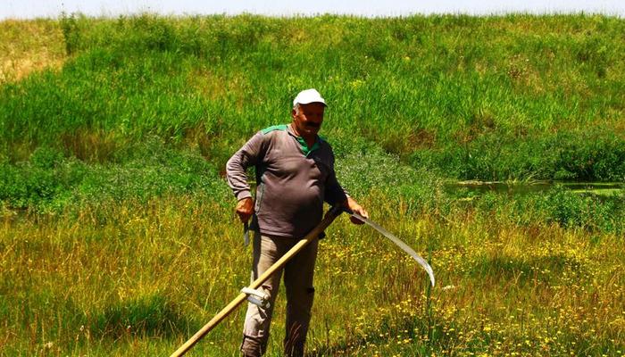 20479463-700x400 Malazgirt'te tırpanın son ustası