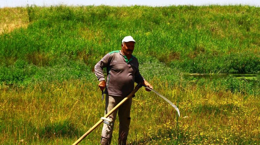 Malazgirt'te tırpanın son ustası