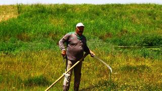 Malazgirt'te tırpanın son ustası