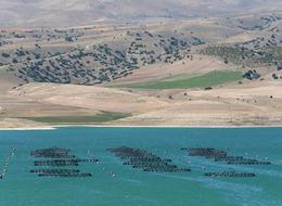 Kayseri'den ada ülkelerinin de yer aldığı 49 ülkeye balık ihracatı