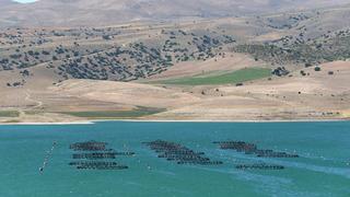 Kayseri'den ada ülkelerinin de yer aldığı 49 ülkeye balık ihracatı