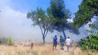 Denizli'de otluk alanda çıkan yangın kontrol altında