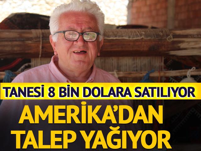 Tanesi 8 bin dolara satılıyor! Amerika'dan talep yağıyor 