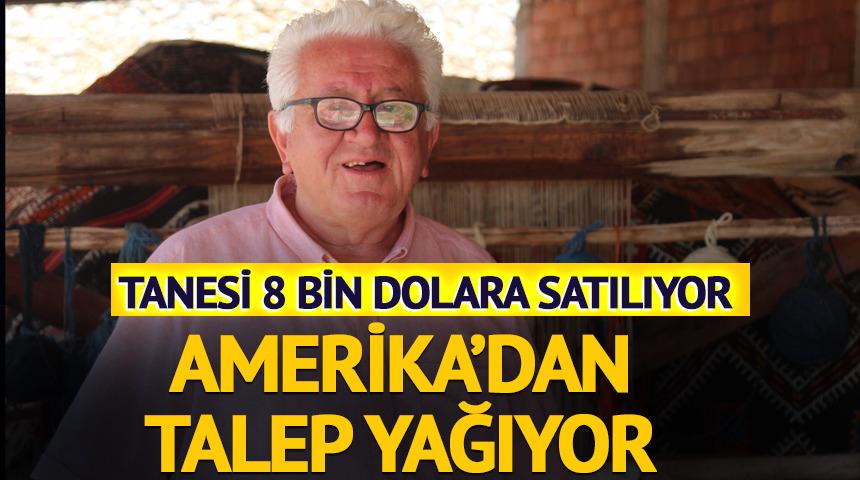 Tanesi 8 bin dolara satılıyor! Amerika'dan talep yağıyor 