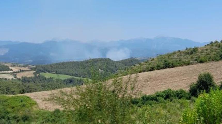 Osmaniye'de orman yangını başladı