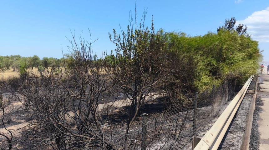 İzmir'de zeytinlik alandan &ccedil;ıkan yangın kontrol altına alındı