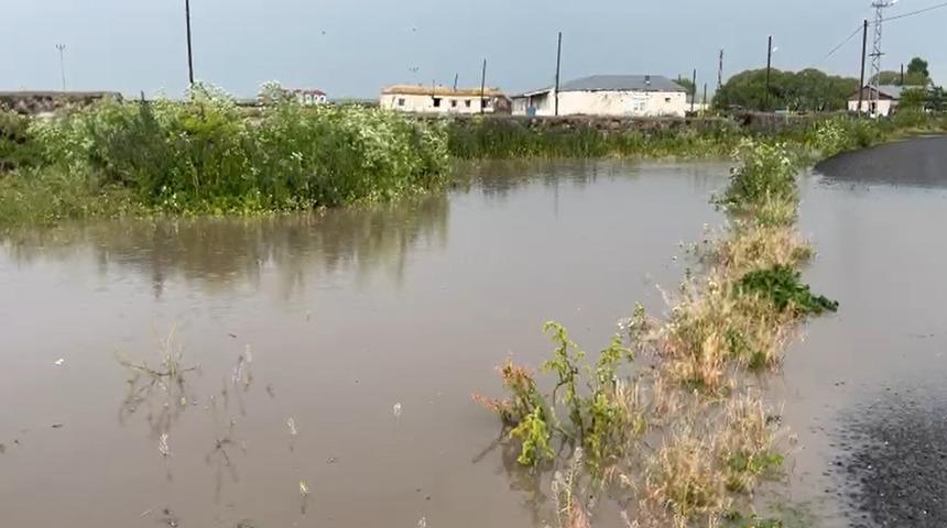 Kars'ta ahırlar ve ekili alanlar sular altında kaldı! "Her yıl bu sorunu yaşıyorum"