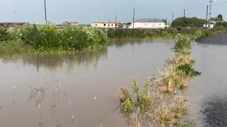 Kars'ta ahırlar ve ekili alanlar sular altında kaldı! Her yıl bu sorunu yaşıyorum