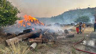 Antalya Aksu'da orman yangını! Çok sayıda ekip sevk edildi