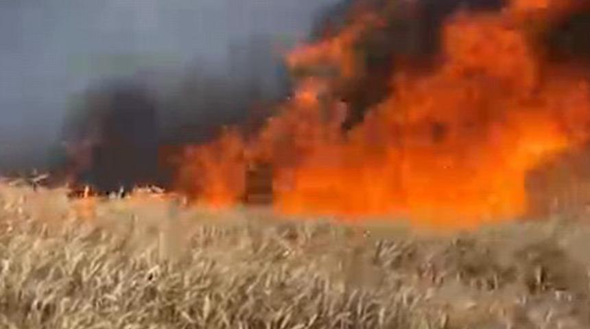 Bursa’da buğday tarlası alev alev yandı