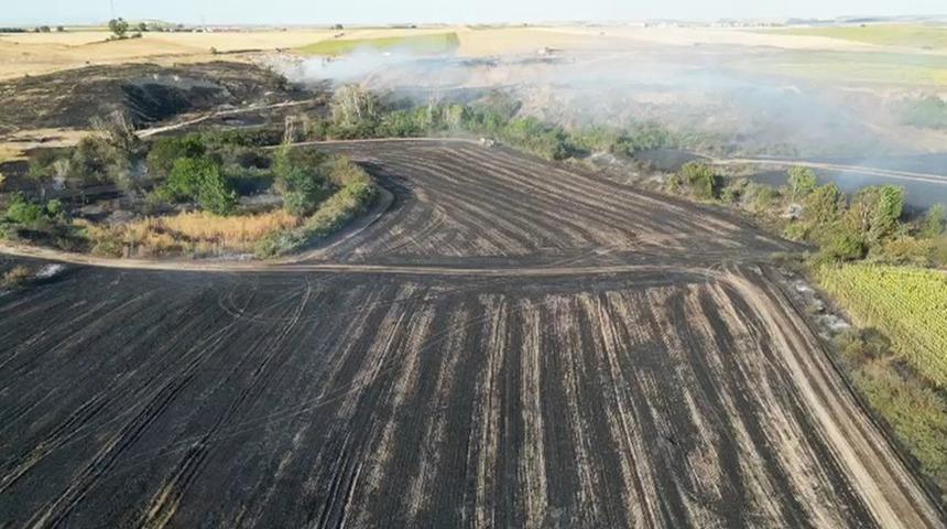 Tekirdağ'da çıkan yangında bin 500 dekarlık tarım arazisi zarar gördü