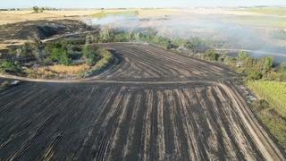 Tekirdağ'da çıkan yangında bin 500 dekarlık tarım arazisi zarar gördü